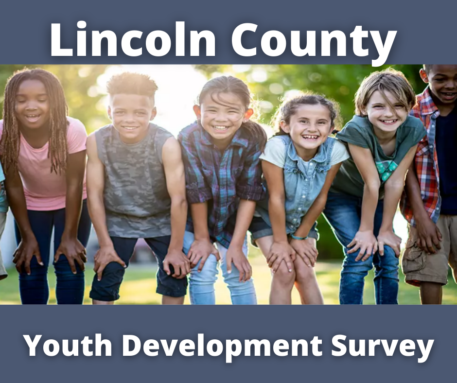 Youth Survey Graphic