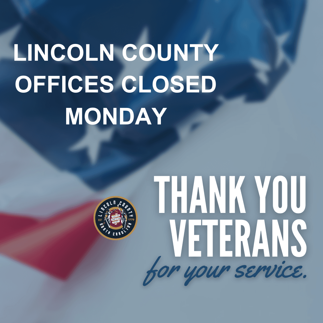 Veterans day (Instagram Post)