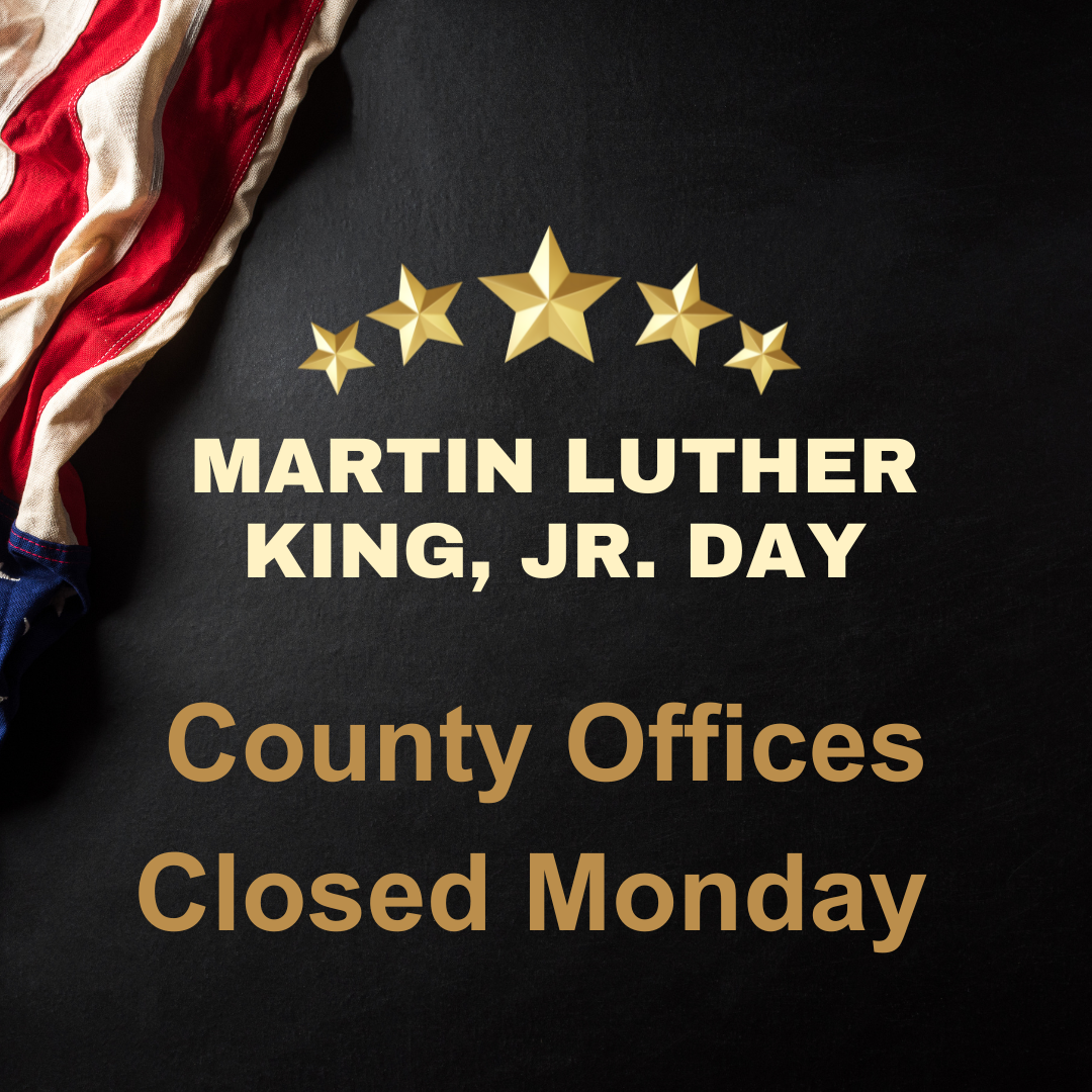 MLK Day (Instagram Post)