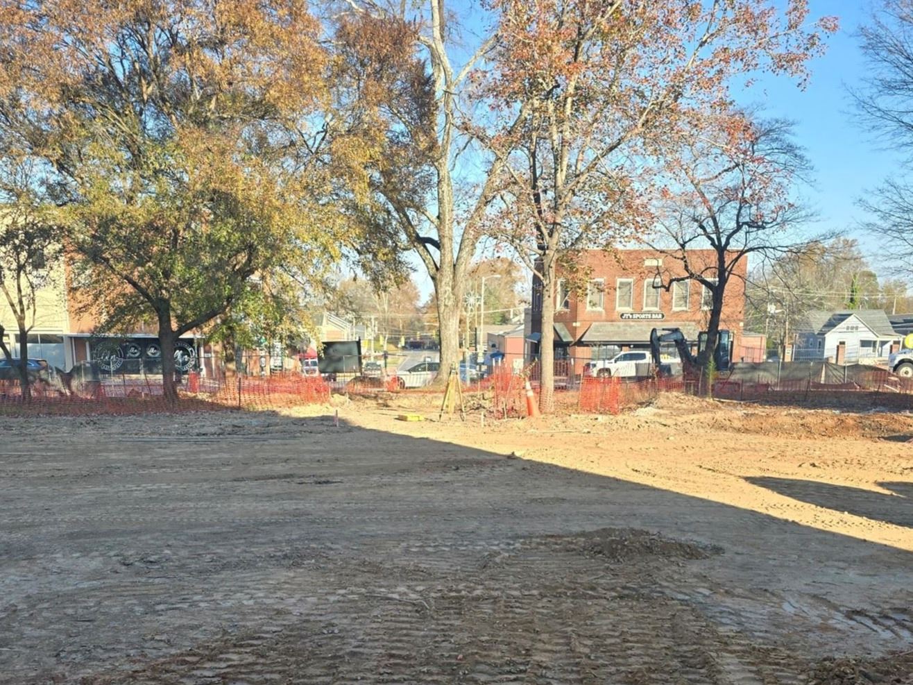 Historic Courthouse North Side Trees